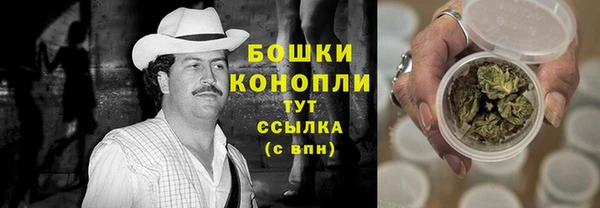 индика Балабаново