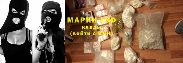 прущие грибы Армянск