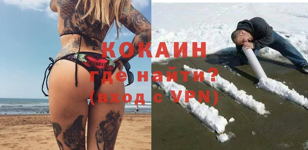 прущие грибы Армянск