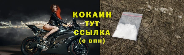 прущие грибы Армянск