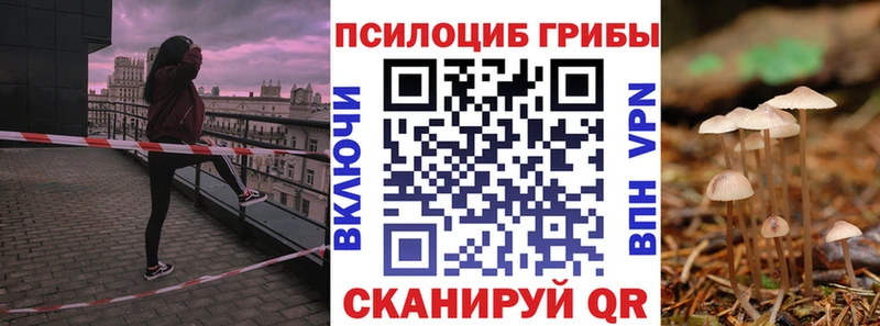 Галлюциногенные грибы Psilocybe  Ивантеевка 